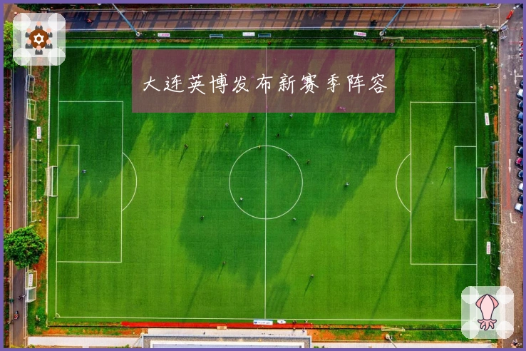 大连英博发布新赛季阵容