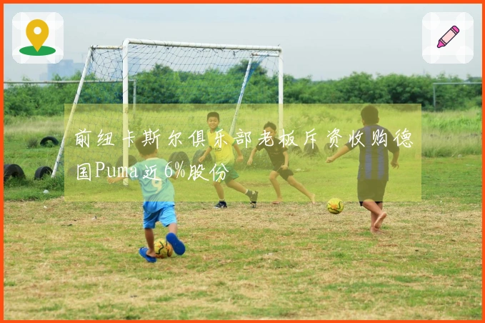 前纽卡斯尔俱乐部老板斥资收购德国Puma近6%股份